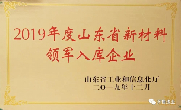 再传捷报：羞羞视频软件下载漆业荣膺山东省新材料领军入库企业